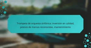 Trompeta de orquesta sinfónica: inversión en calidad, precios de marcas reconocidas, mantenimiento